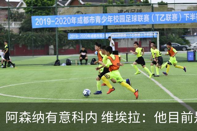 阿森纳有意科内 维埃拉：他目前是法国最强中场 排在琼阿梅尼之前