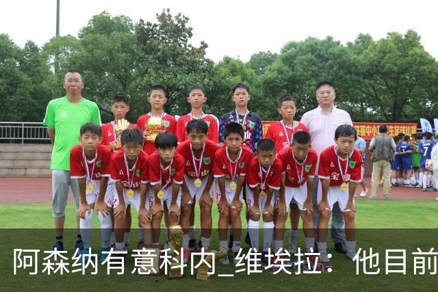 阿森纳有意科内 维埃拉：他目前是法国最强中场 排在琼阿梅尼之前